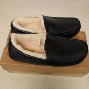 Ugg Slippers Mens